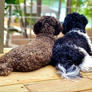 Meet your Posher, Erin